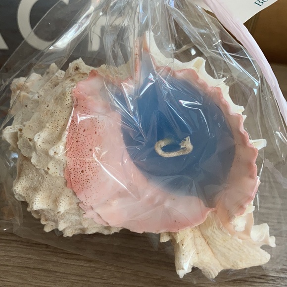 Seaport candle company handmade shell candle NWT - Picture 3 of 9